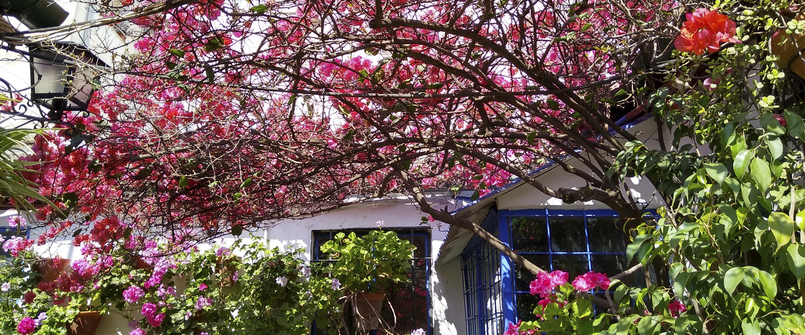 Portada - Viajes CAM